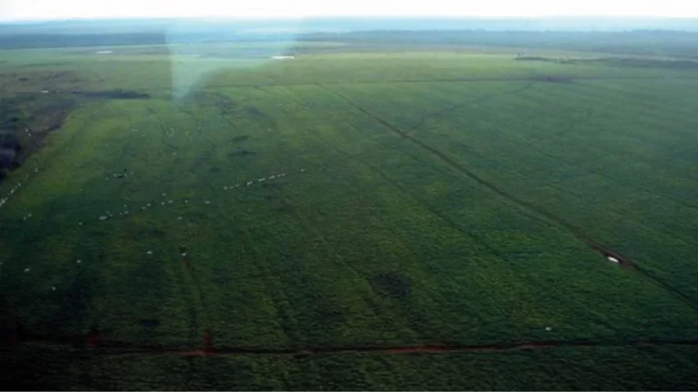 Imagem Fazenda em Mato Grosso - 103.000hec