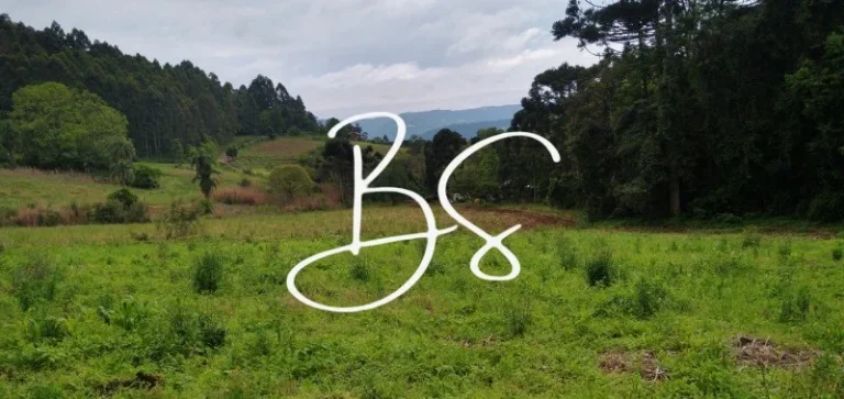 Imagem AREA RURAL em NOVA PETRÓPOLIS - RS, Centro