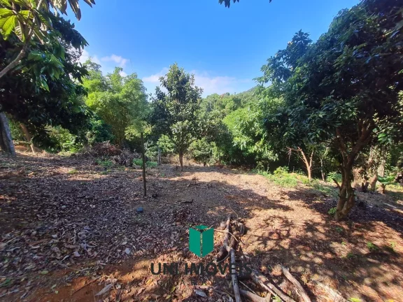 Imagem Vendo Chácara de 2.200m² com piscina e pomar em Guarapari (Tartaruga)