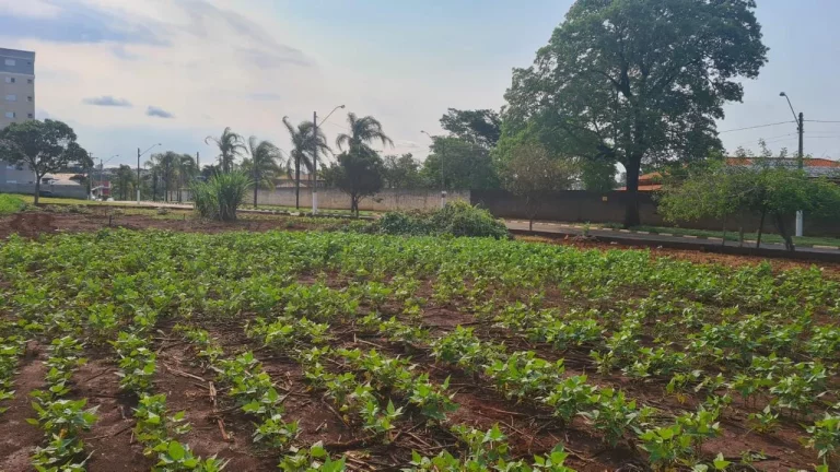 Imagem Terreno à Venda c/ 678m² Recanto das Primaveras, em Boituva