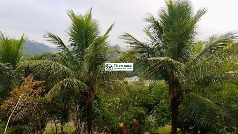 Imagem CASA RESIDENCIAL em JAMBEIRO - SP, Santa Bárbara