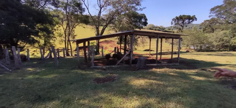 Imagem Chácara à venda em Cascavel - Área Rural com Energia Elétrica e Rio