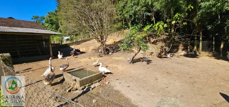 Imagem Sítio - Vila Itoupava - Blumenau