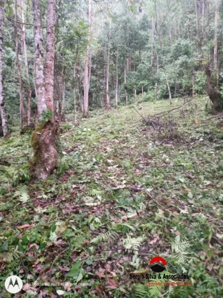 Imagem Terreno a Venda no Bairro do Centro em Piranguçu - MG.