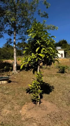 Imagem Terreno à venda, 2 m² por R$ 270.000,00 - Centro - Igaratá/SP