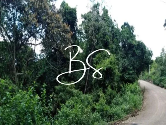 Imagem SITIO RURAL em IGREJINHA - RS, Lageadinho