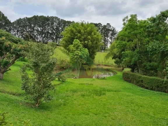 Imagem Lindo Sítio à Venda em Piracaia – 48.400 m² de Tradição e Beleza Natural