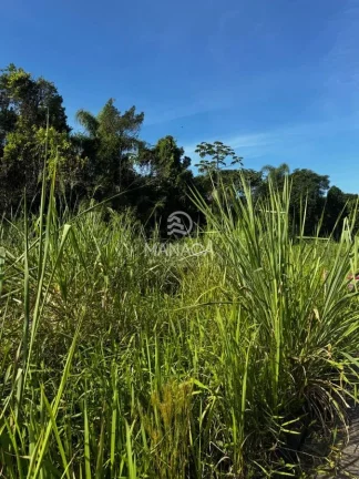 Imagem Terreno em meio a natureza de 649.54 m² - Barra Velha/SC