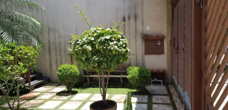 Imagem Sobrado à venda, 375 m² por R$ 1.200.000,00 - Jardim Imperador - Suzano/SP