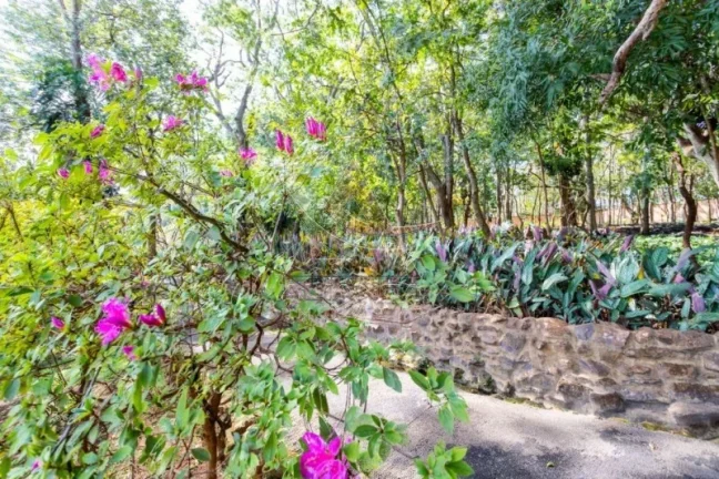 Imagem Terreno Condomínio - Ribeirão Preto - Bonfim Paulista