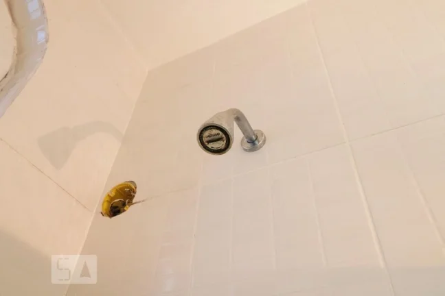 Imagem Casa à Venda - Vargem Grande, 3 Quartos, 480 m2