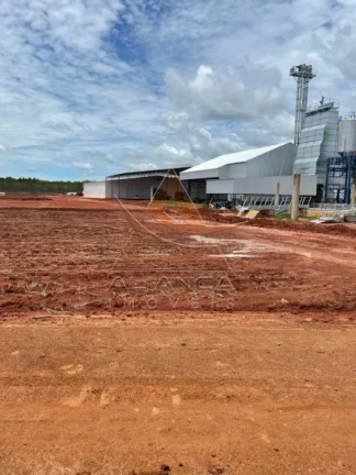 Imagem Fazenda - João Pinheiro - João Pinheiro