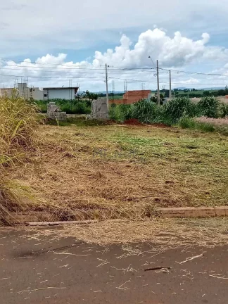 Imagem Terreno Padrão
