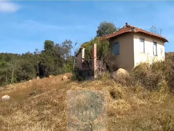 Imagem Sítio planta café 22,34 alqueires, terra vermelha, casa, água, galpão - Zona Rural - Biguatinga l de Minas Gerais