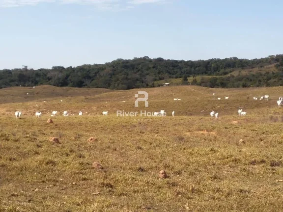 Imagem Fazenda à venda finalidade pecuaria formada, localizada na Região do Rio Manso , Chapada dos Guimarães - MT