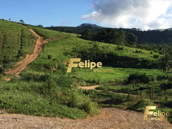Imagem FAZENDA EM COLATINA (28KM DO CENTRO) / UM IMPERDÍVEL NEGÓCIO!