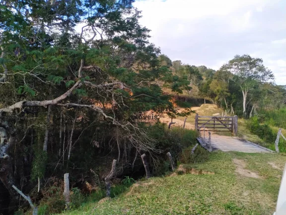 Imagem Fazenda à venda no bairro Catioca - Cunha/SP
