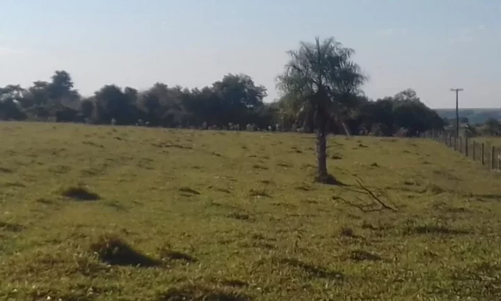 Imagem Sítio - Vende Promissão ( prox. Marília) e Região/SP