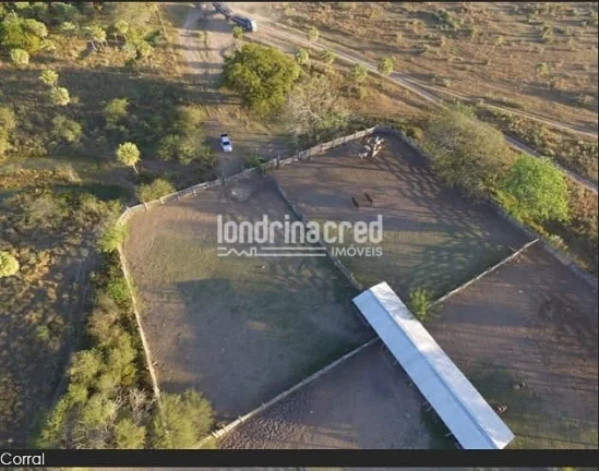 Imagem Fazenda à Venda no Paraguai por 900 dólares por hectare com Alto Potencial Pecuário
