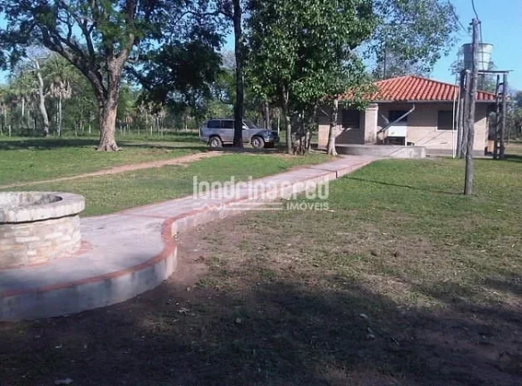 Imagem Fazenda à Venda no Paraguai por 900 dólares por hectare com Alto Potencial Pecuário