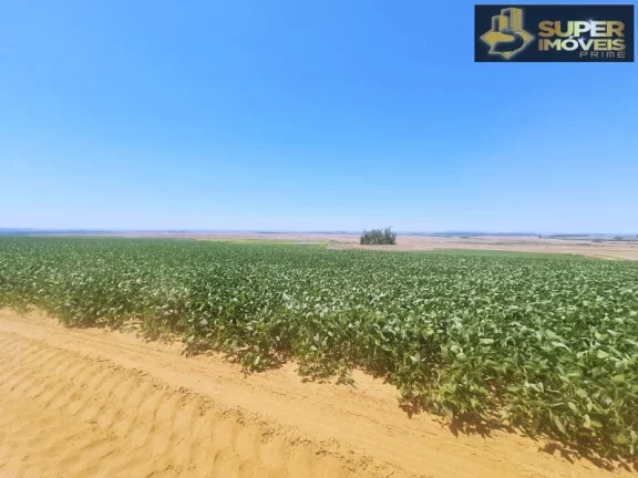 Imagem Fazenda de Excelência no RS 2.100 hectares Cachoeira do Sul