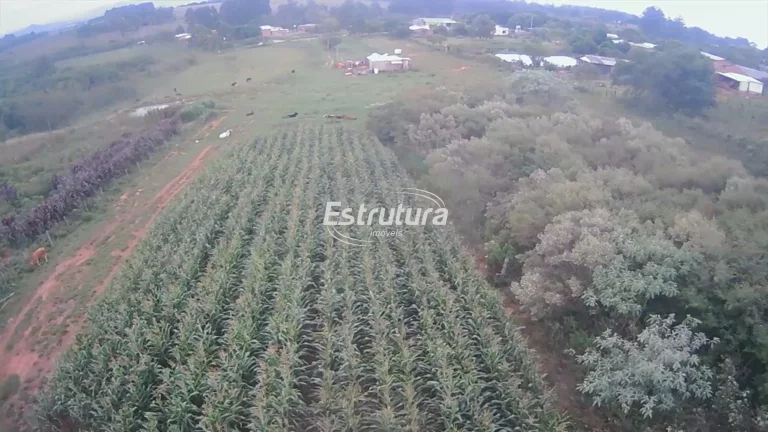 Imagem Terreno amplo no Passo das Tropas