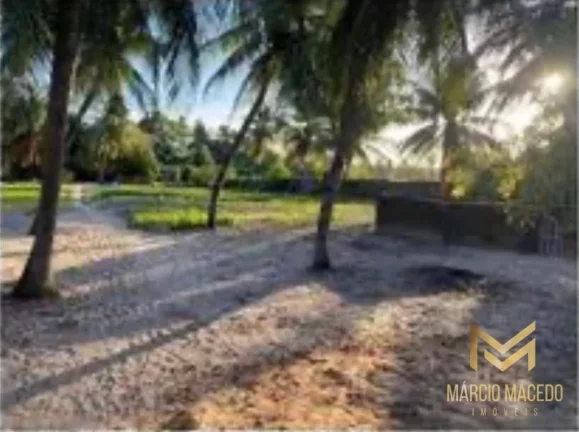 Imagem Terreno à venda, 3933 m² por R$ 980.000,00 - Lagoa Redonda - Fortaleza/CE