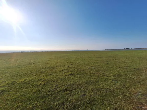 Imagem Excelente Área de 130 Hectares para Cultivo de Arroz – Viamão/RS