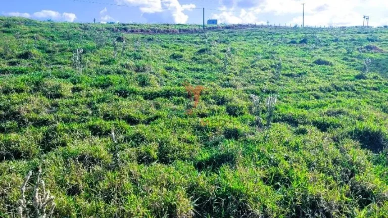 Imagem Vendo sítio com 8,47 alqueires no asfalto, Piracicaba - SP