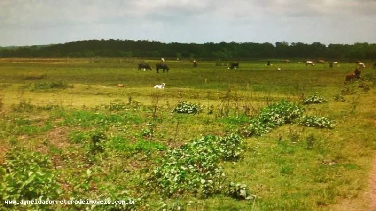Imagem Fazenda para Venda em Extremoz, capim -extremoz, 3 dormitórios, 1 suíte, 2 banheiros, 6 vagas