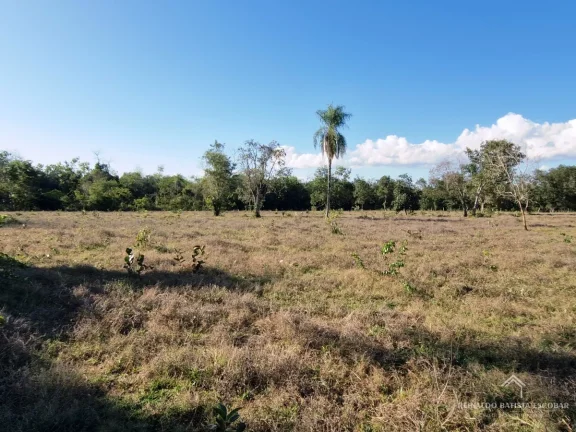 Imagem Chácara 7,8 hectares em Rochedo-MS