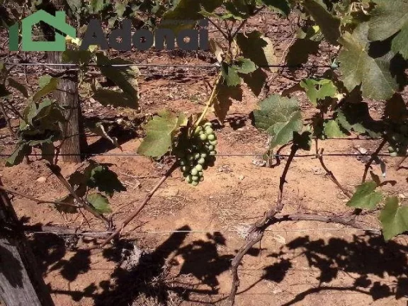 Imagem Area Residencial em Jundiai(Medeiros) 36.000m2 Excelente Localizacao, otima topografia