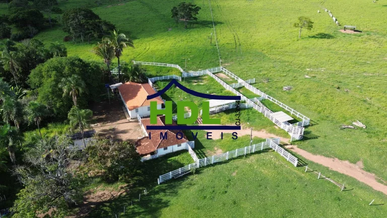 Imagem Fazenda de 1ª com 155 Hectares prox. à Goiânia.
