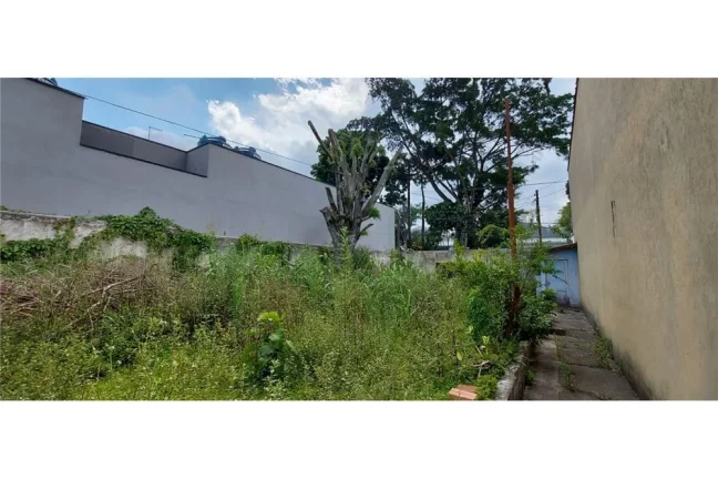 Imagem CMRB 450 Lote 601391019-12
