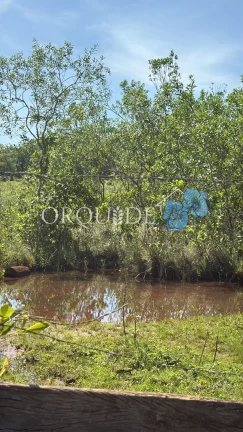 Imagem Fazenda à venda em Aparecida do Rio Doce-GO no bairro Setor Central com 10,00 alqueires de área