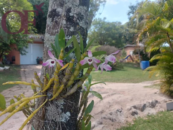 Imagem Linda chácara a sua espera no bairro do Guacuri - Itupeva!