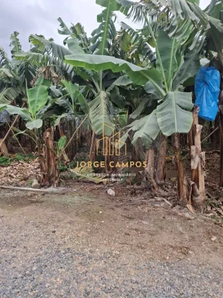 Imagem SI-25254 - SÍTIO À VENDA EM SETE BARRAS-SP