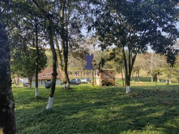 Imagem ÁREA EM BALSA NOVA COM 13.530,10M²