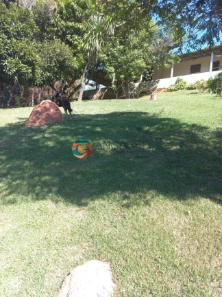 Imagem CHÁCARA COM CASA SEDE - PISCINA - EXCELENTE OPORTUNIDADE
