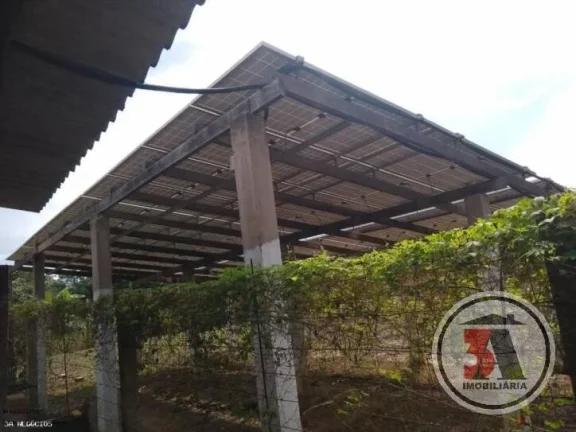 Imagem Chacara atrás do Bairro Novo