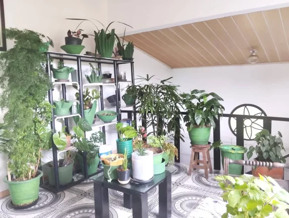 Imagem Casa à venda no Jardim Primavera- Iguape/SP