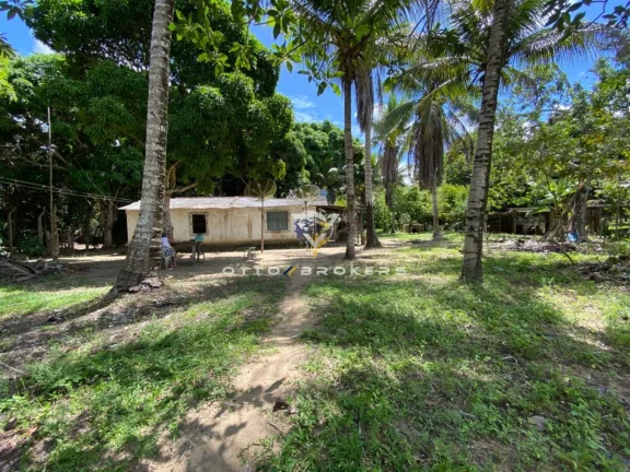 Imagem SITIO RURAL em SANTA CRUZ CABRÁLIA - BA, BR 367