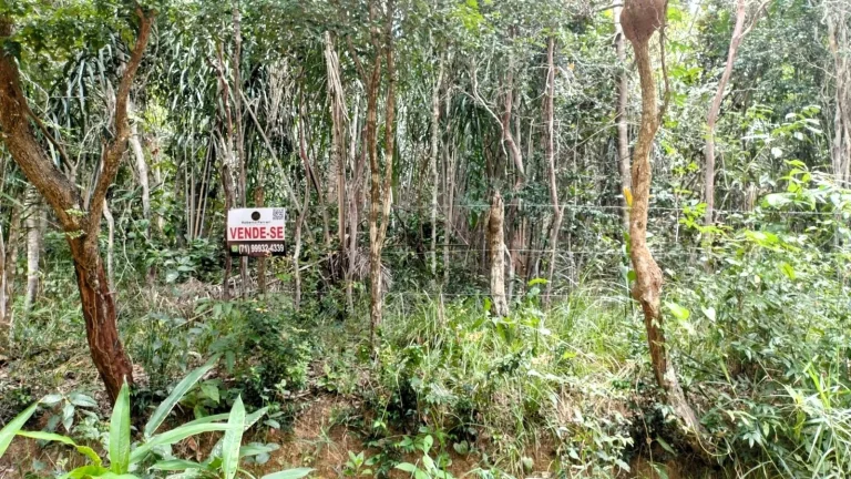 Imagem Oportunidade: Terreno em Mata de São João, Lagoa do Aruá - Venda no Loteamento Quinta do Castelo da Torre