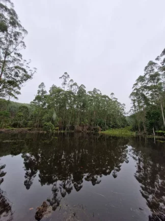 Imagem SÍTIO COM LAGO PARA PESCA NO BAIRRO RIO BONITO - TAPIRAÍ - SP