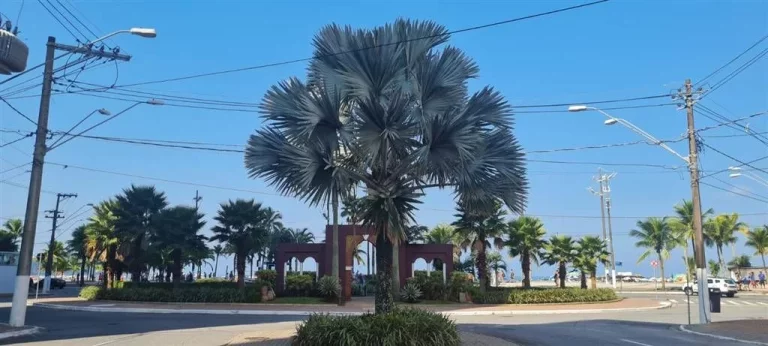 Imagem Apartamento à Venda em Grilhermina, Praia Grande - SP