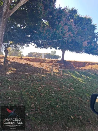 Imagem Propriedade Rural em Guaimbê, SP - 12 Alqueires Sitio Valenciano