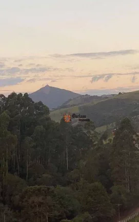 Imagem Terreno à venda, 2958 m² por R$ 300.000,00 - São Mateus - Camanducaia/MG