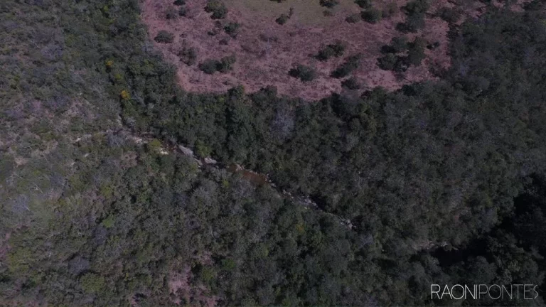 Imagem Fazenda à Venda, 94.041.000 m² em Zona Rural - Ipameri