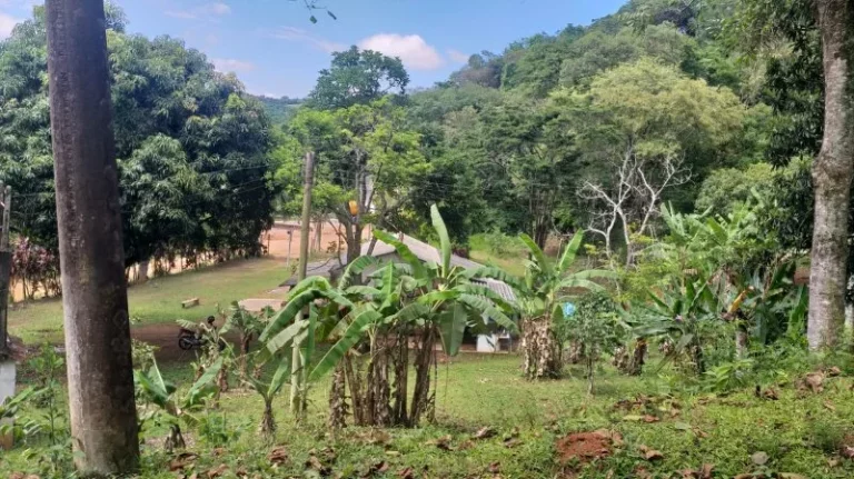 Sítio - Venda em Cabreúva e Região/SP