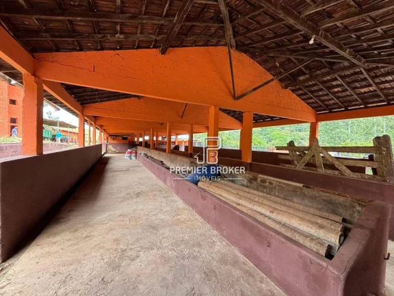 Imagem Fazenda à venda, 1640000 m² por R$ 4.500.000,00 - Vila do Pião - Sapucaia/RJ